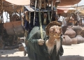 Star Wars : The Force Awakens, νέο φωτογραφικό υλικό 19